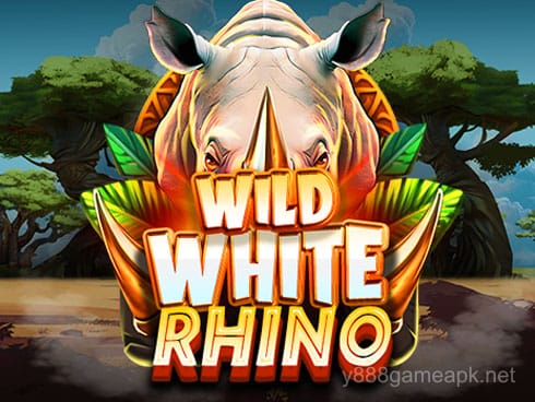 Wild White Rhino